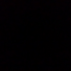 みけ、日航機事故、よく覚えてるにゃん。の画像