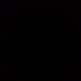 また始まった。の画像