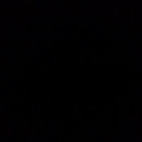 みけ、頑張ってます。の画像