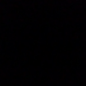 プライド歌ってみた。の画像
