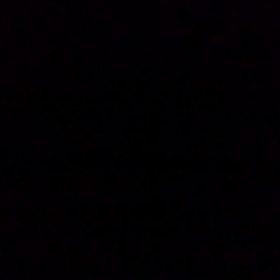 おやすみなさい。の画像