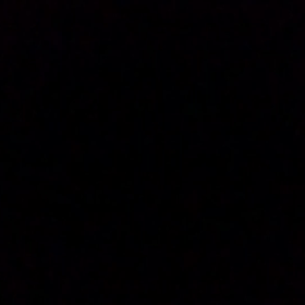 今日は…。の画像