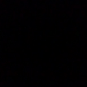 いつもの声。の画像
