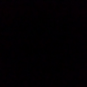 ガンダ～ラ♪の画 像