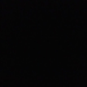 写真は苦手なの。の画像