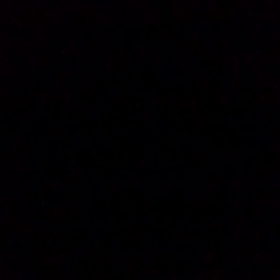 ファイトにした。の画像