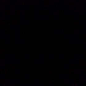 明日は…。の画像