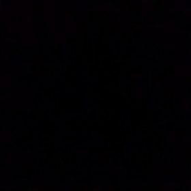歌の練習中♪の画像
