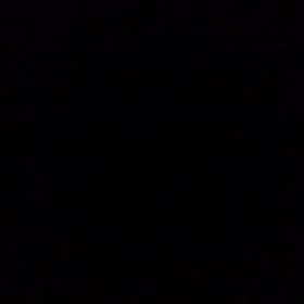 ずっと言ってきたの。の画像