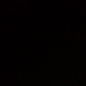 おはようございます。の画像