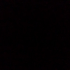 頑張ってるけど…。の画像