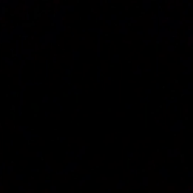 大しゅき～！の画像