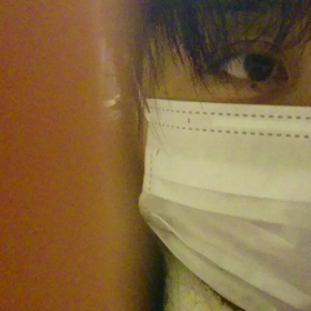 うん、載せられそう。の画像