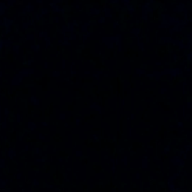 メキシコに…。の画像