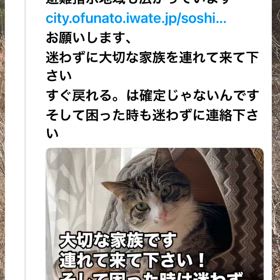 拡散希望　大船渡山火事ペット同行避難の画像