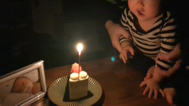 春ちゃん3歳になりましたの記事動画