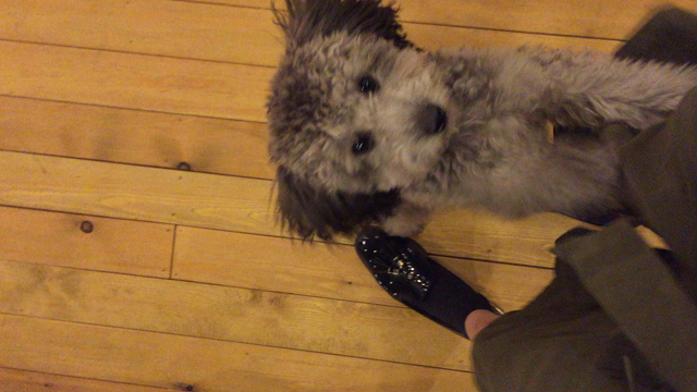 デビュー☆の記事動画