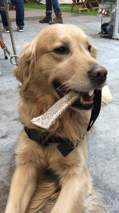 キャンピングカーショー☆の記事動画