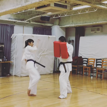 サンリオピューロランドの記事動画