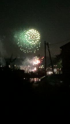 花火①の記事動画