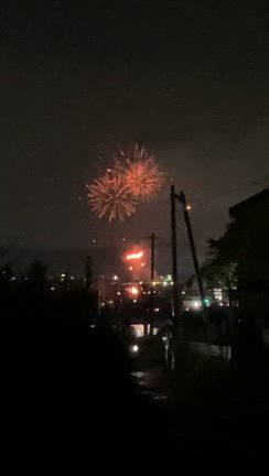 夏といえばの記事動画