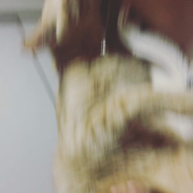 猫の恩返しが可愛すぎるの画像