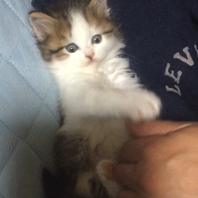 久しぶりー成長動画の画像