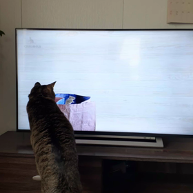 楽しいねの画像