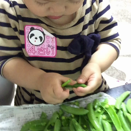 触る、親しみを持つ、よく食べる！の記事動画