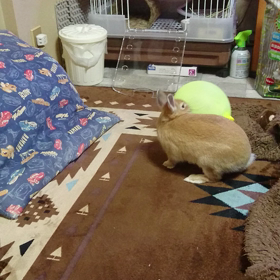 激しいの画像