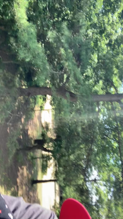 はまなす公園 貸切り！の記事動画