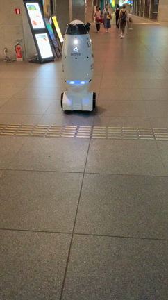 巡回警備ロボットとパリ市警が守ってます‼︎の記事動画