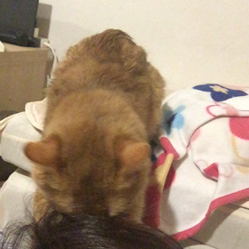 お世話されてますの画像