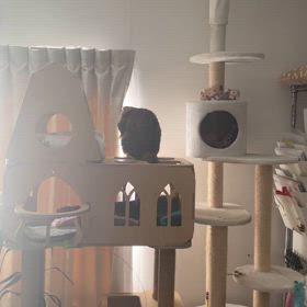 何をしている？の画像