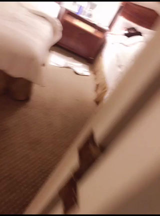 お泊まり♡しましたの記事動画