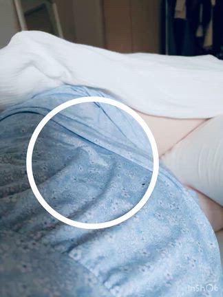 夜は運動会、朝は夫婦喧嘩。今日は生きてるだけで100点満点の日！の記事動画