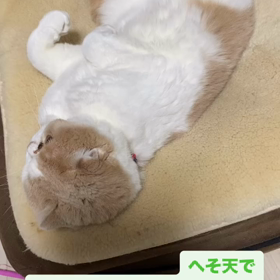 2023/11/27の画像