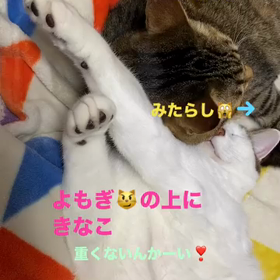 2023/12/05の画像