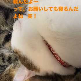 2023/12/22の画像