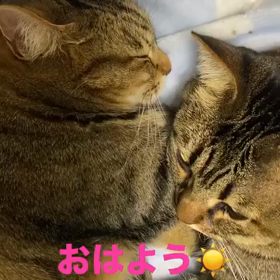 2023/12/12の画像