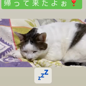 2023/12/07の画像