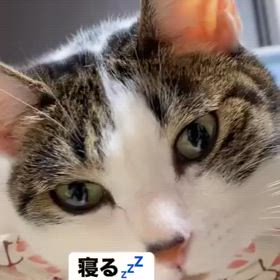 2024/02/16の画像