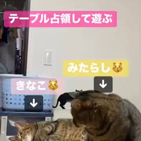 2024/03/09の画像