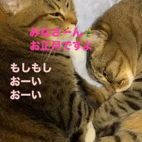 2024/01/02の画像