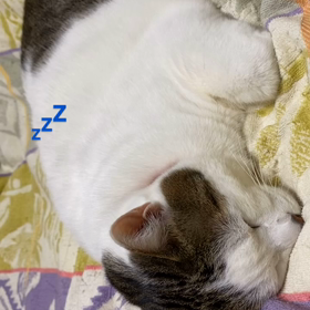 2023/12/06の画像