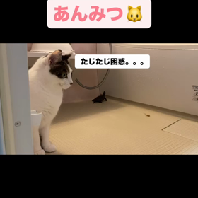 2023/11/26の画像