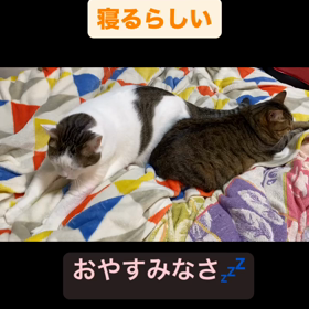 2023/11/27の画像