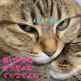 2024/01/22の画像