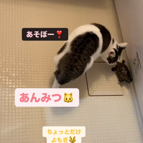 2023/11/26の画像
