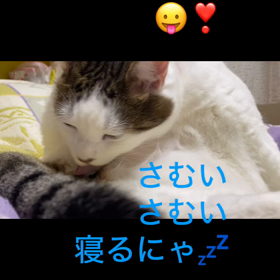 2023/12/03の画像